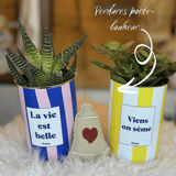 Viens on sème - pot à rayures - Plante