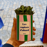 Les copines d'abord - pot à rayures - Plante