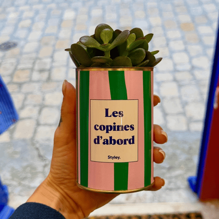 Cadeau anniversaire, cactus en pot Les copines d'abord