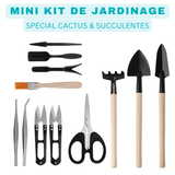 Kit de jardinage - Plantes grasses