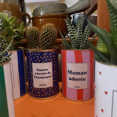Maman a besoin de champagne - Plante