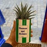 Maman qui déchire - Plante