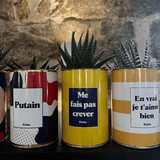 Me fais pas crever - Plante