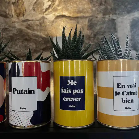 Me fais pas crever - Plante
