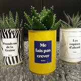 Me fais pas crever - Plante