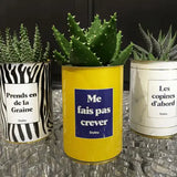 Me fais pas crever - Plante