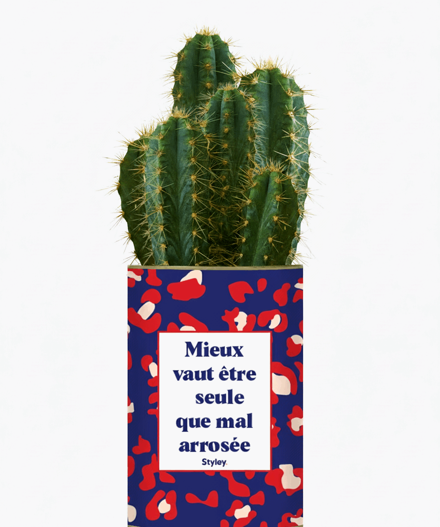 Mieux vaut être seule que mal arrosée - Cactus
