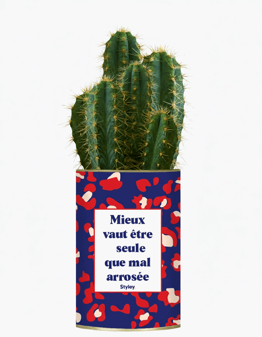 Mieux vaut être seule que mal arrosée - Cactus