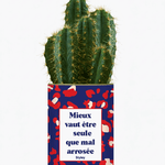Mieux vaut être seule que mal arrosée - Cactus