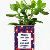 Mieux vaut être seule que mal arrosée - Cactus