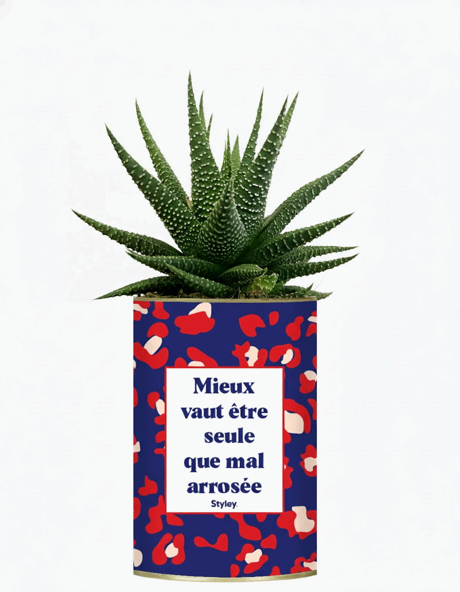 Mieux vaut être seule que mal arrosée - Cactus