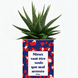 Mieux vaut être seule que mal arrosée - Cactus