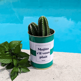Mojito S'il vous plait - Plante