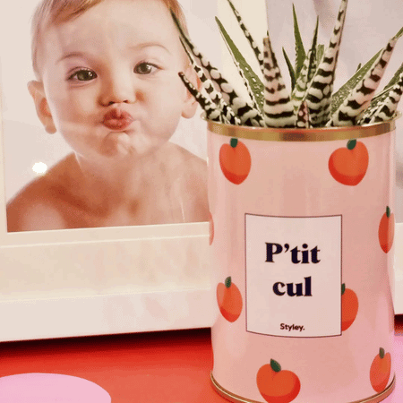 P'tit cul - Plante