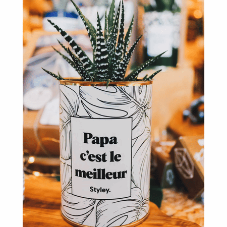 Papa c'est le meilleur - Plante