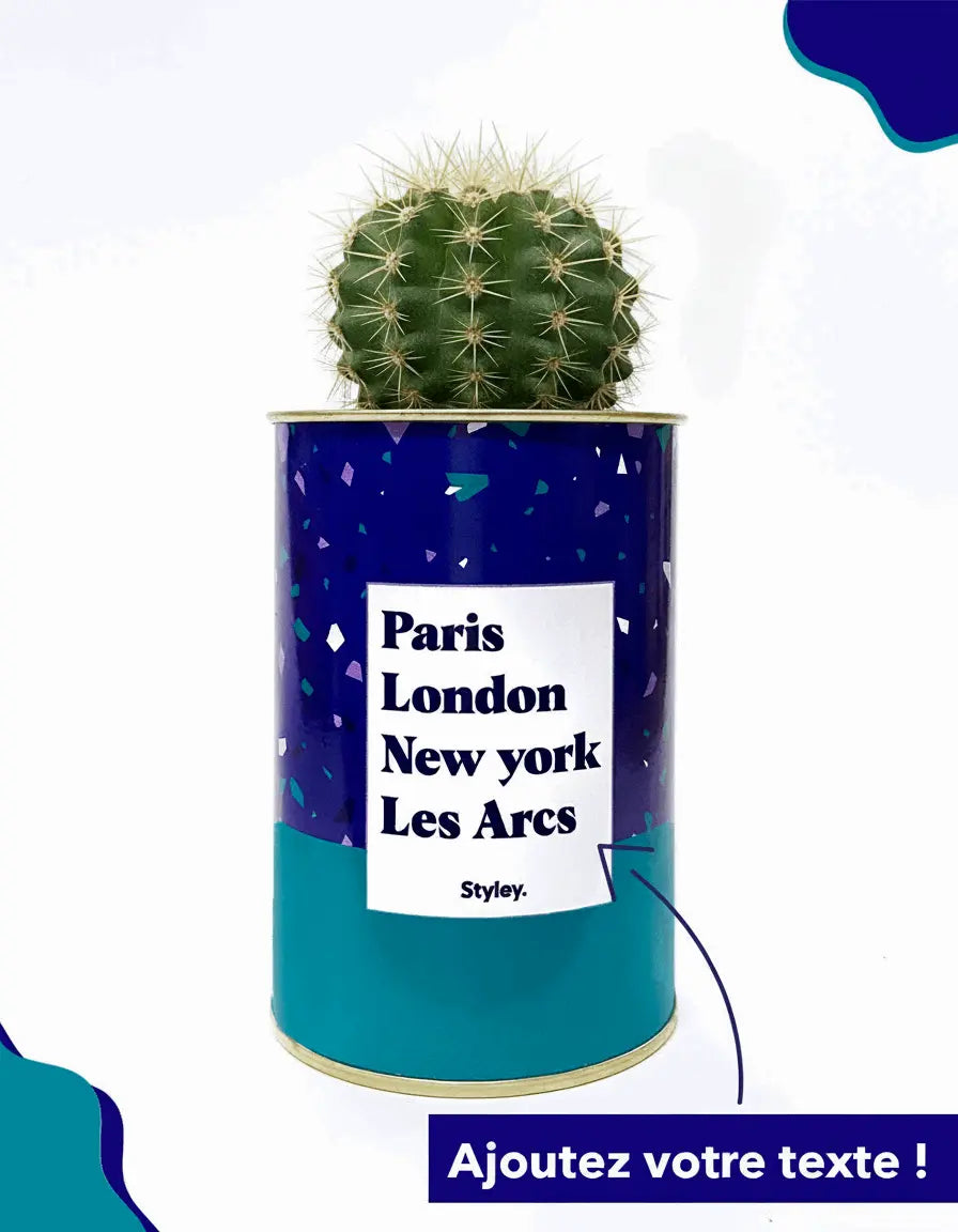 Plante Paris, London, New York personnalisable - Cactus