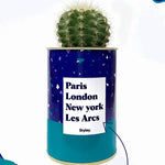 Plante Paris, London, New York personnalisable - Cactus