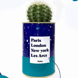 Plante Paris, London, New York personnalisable - Cactus