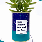 Plante Paris, London, New York personnalisable - Cactus