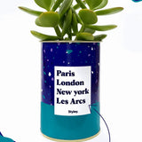 Plante Paris, London, New York personnalisable - Cactus