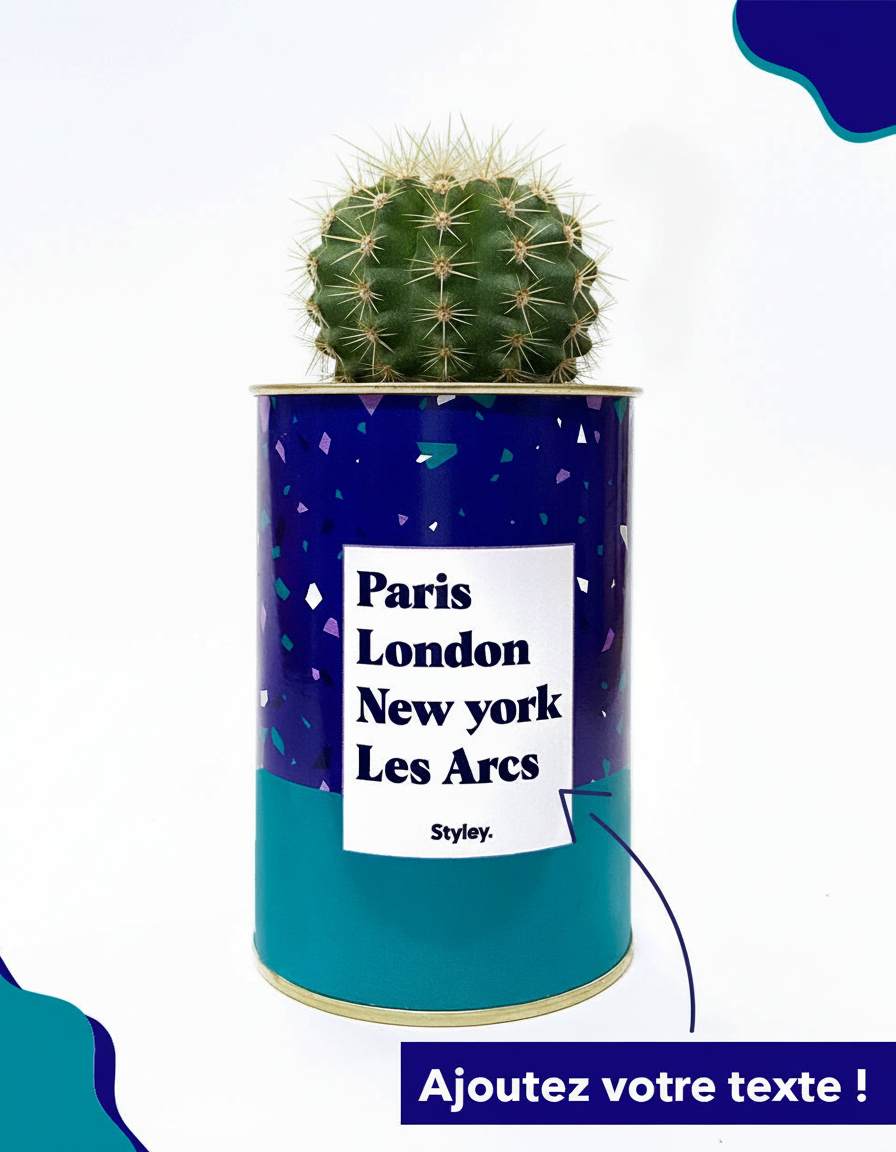 Plante Paris, London, New York personnalisable - Cactus