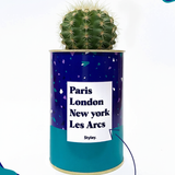 Plante Paris, London, New York personnalisable - Cactus