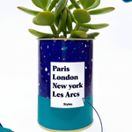 Plante Paris, London, New York personnalisable - Cactus