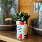 Pas la peine de m'arroser morue - Plante