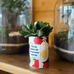 Pas la peine de m'arroser morue - Plante