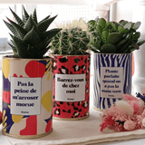 Pas la peine de m'arroser morue - Plante