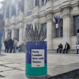 Plante Paris, London, New York personnalisable - Plante