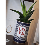 LOVE - Plante
