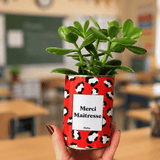Merci Maîtresse - Plante