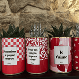 Pour tes congés, tu peux rêver - Plante