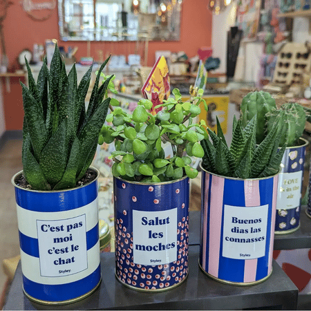 Salut les moches - Plante