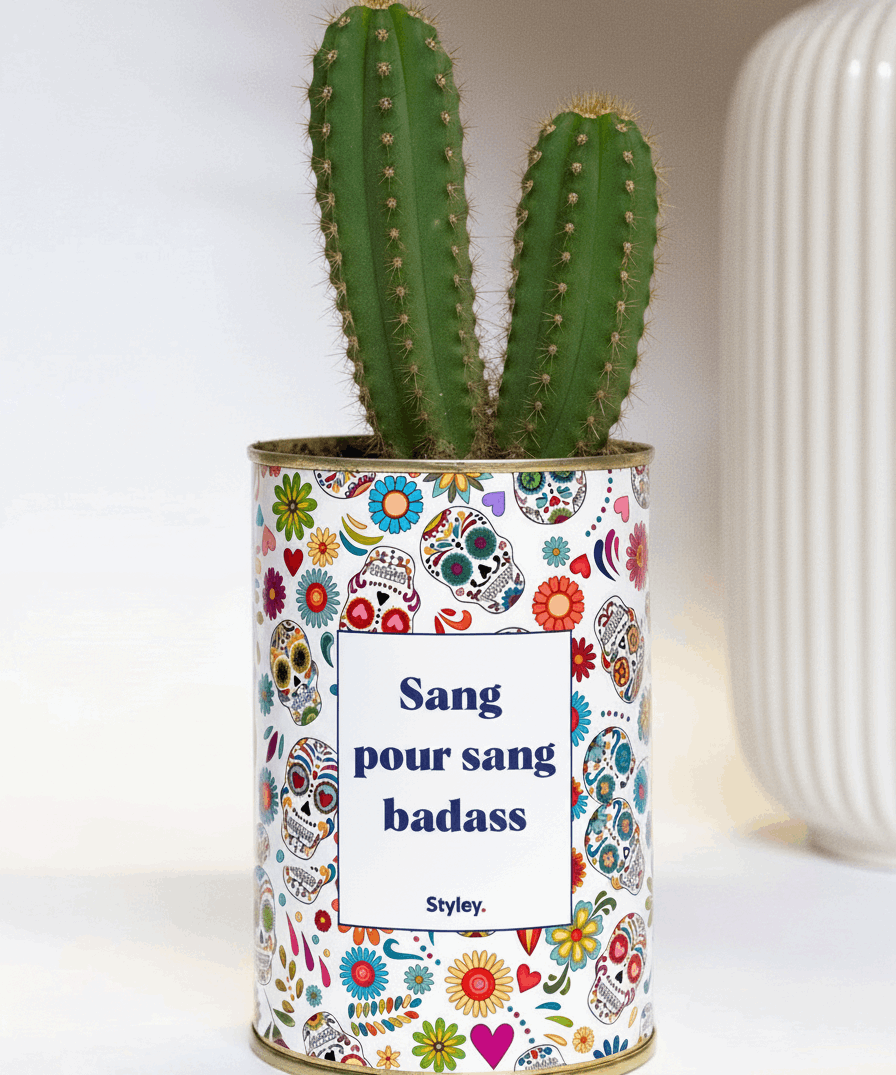 Sang pour sang - Plante grasse