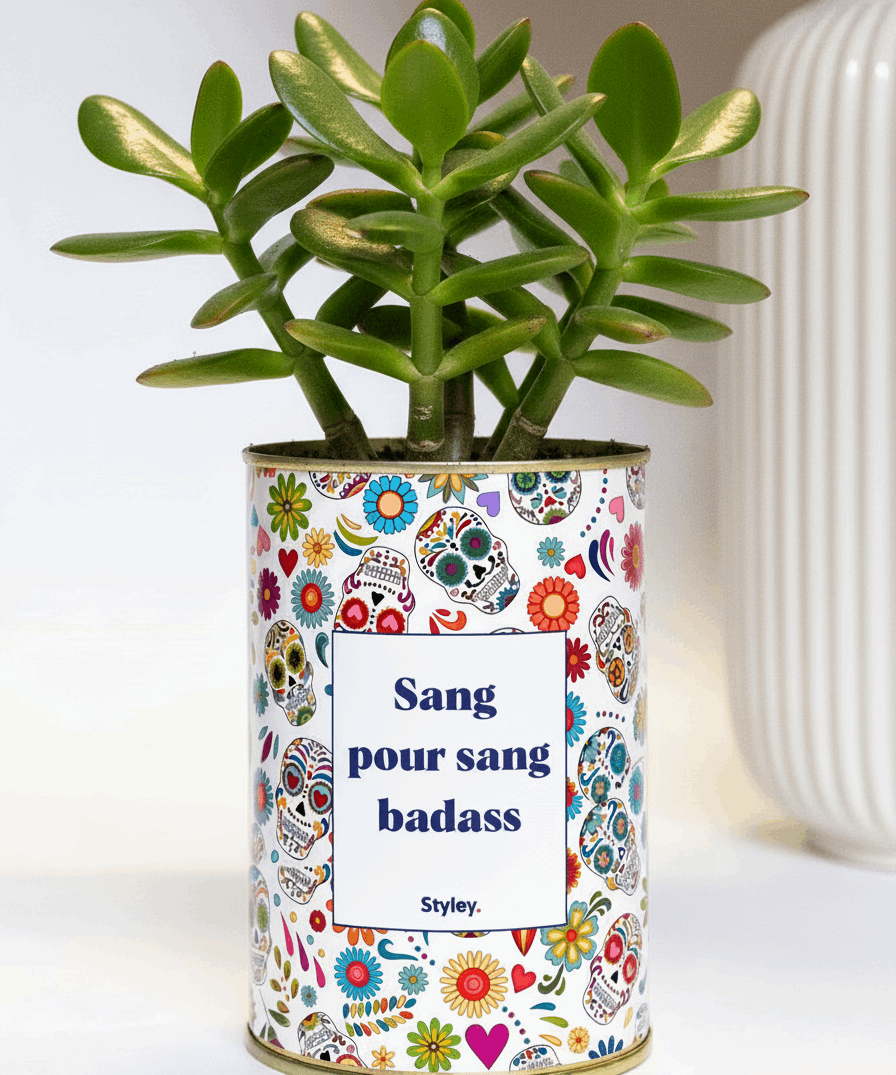 Sang pour sang - Plante grasse