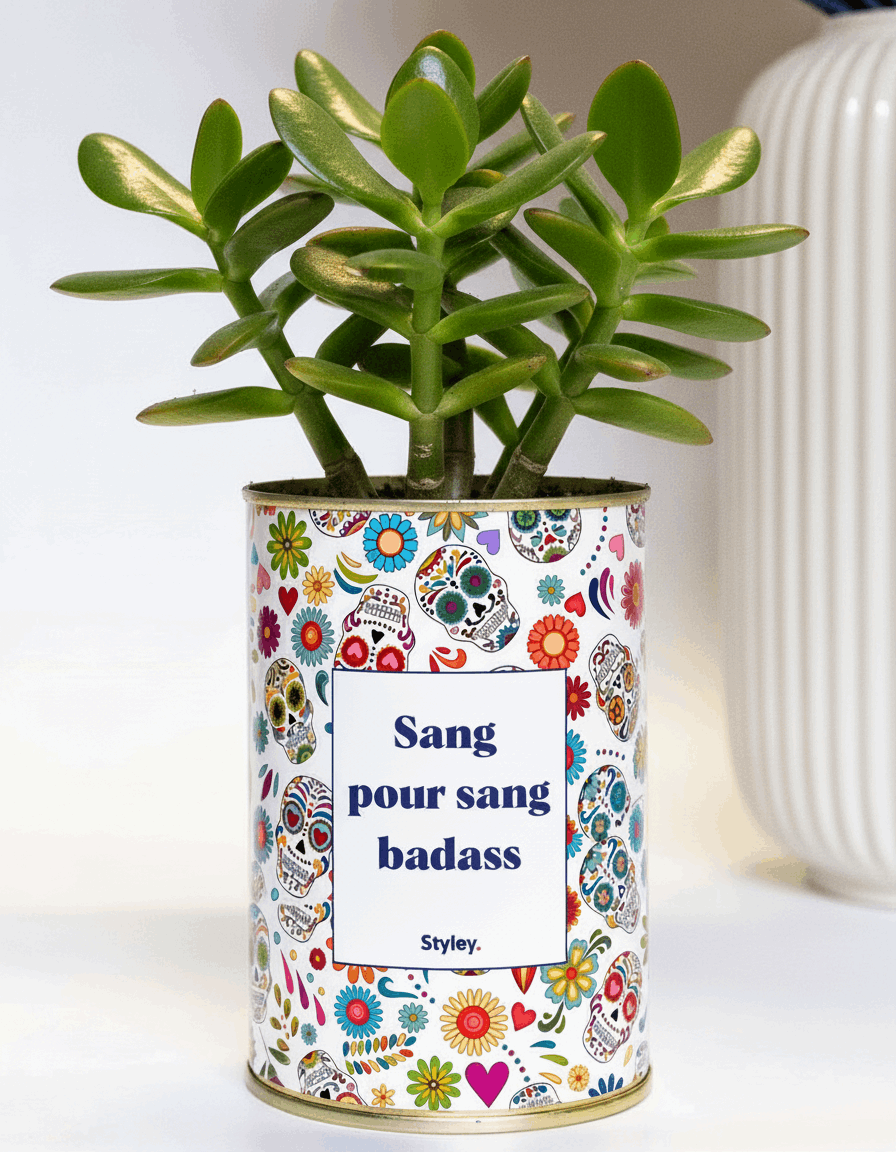 Sang pour sang - Plante grasse