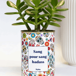 Sang pour sang - Plante grasse