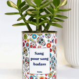Sang pour sang - Plante grasse