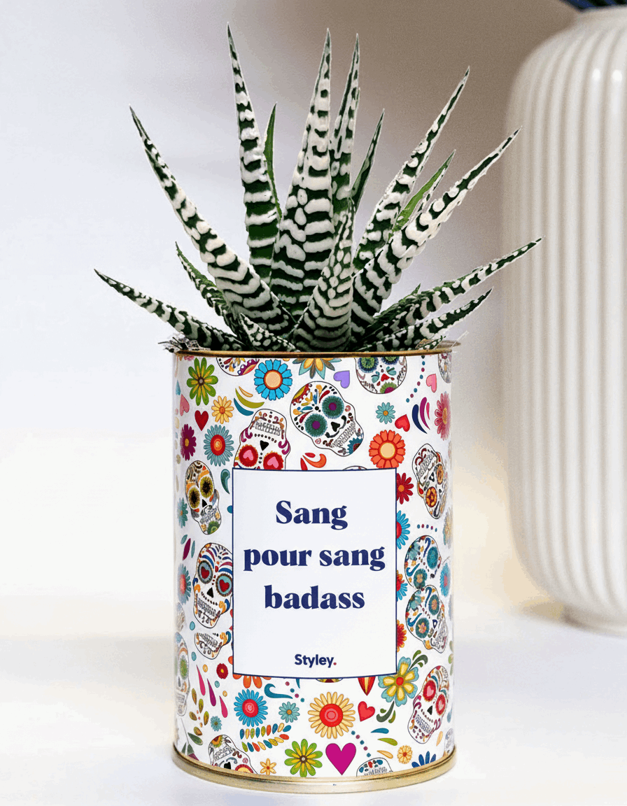 Sang pour sang - Plante grasse