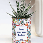 Sang pour sang - Plante grasse