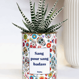 Sang pour sang - Plante grasse