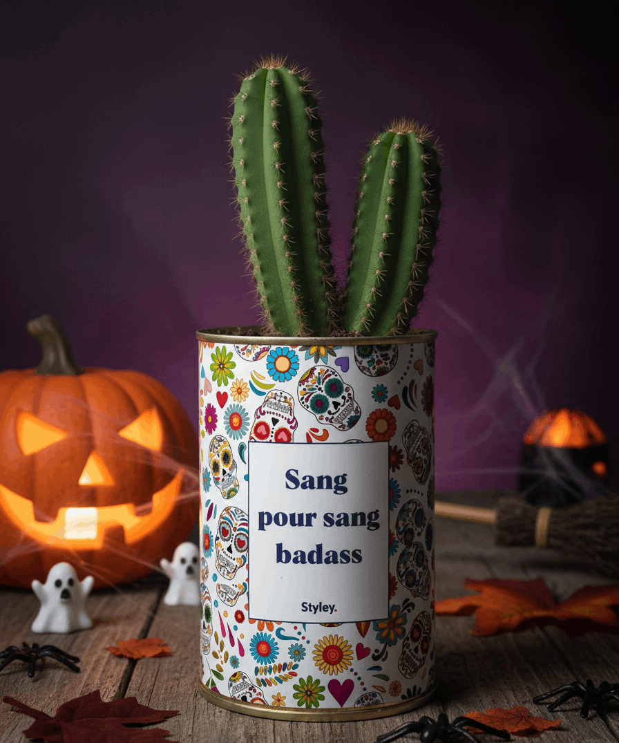 Sang pour sang - Plante grasse