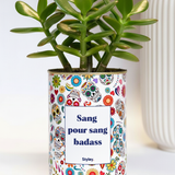 Sang pour sang - Plante grasse