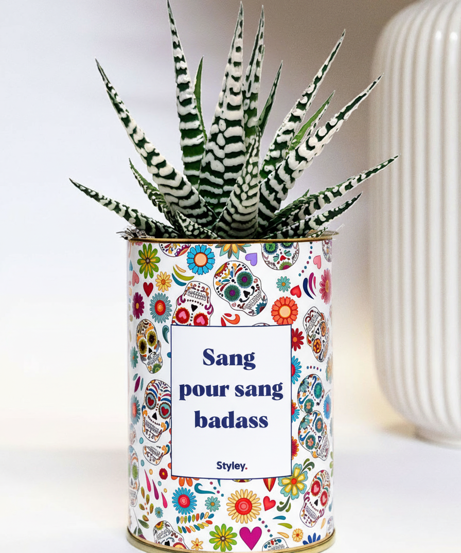 Sang pour sang - Plante grasse