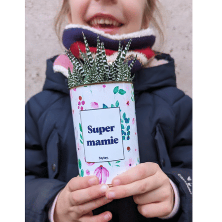Super mamie - Plante