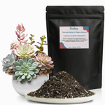 Terreau Cactus & Plantes Grasses Sac de 1L (±500g)
