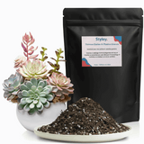 Terreau Cactus & Plantes Grasses Sac de 1L (±500g)