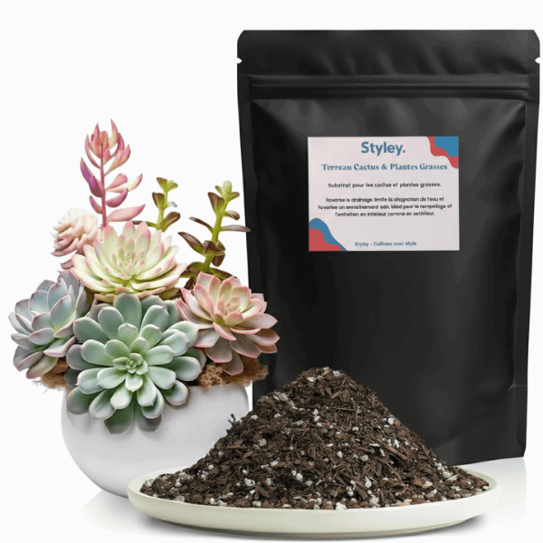 Terreau Cactus & Plantes Grasses Sac de 1L (±500g)